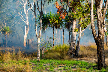 Controlled Bushfire "Cool Burn" in Kakadu National Park - Australia © Adwo