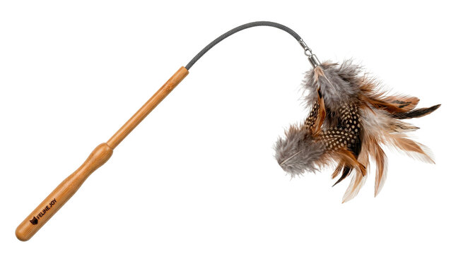 Cat feather toy &mdash; Photorealistic cat feather wand toy, slim handle with integrated flexible cord and soft feather attachment forming one cohesive pet play accessory; diagonal three-quarter view, sharp