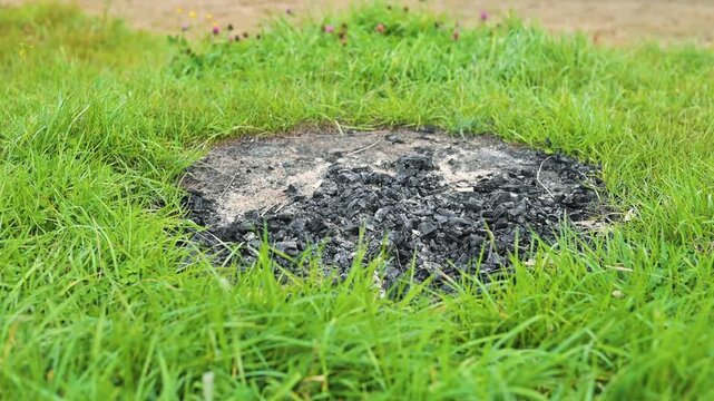 A burnt patch is present on a grassy area, surrounded by vibrant green grass. The charred remains show evidence of fire, with soil and ashes visible in the center