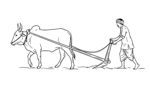 Traditional Indian Farmer with Decorated Bullocks and Wooden Plough, Folk Line Art