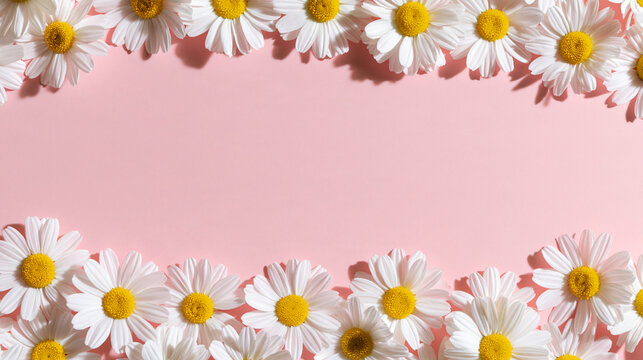 Fresh white daisy flowers arranged as a border frame on a soft pink background. Perfect for wedding invitations or spring greeting cards.