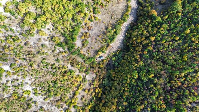 Aerial View of Autumn Forest with Excavator and Dirt Road