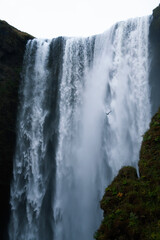 skógafoss, islandia © Alejandro