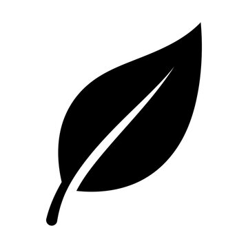 teal leaf glyph icon