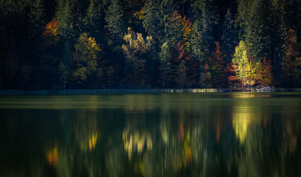 Autumn at Lake Saint Ana. Transylvania, Romania, Europe. Idyllic autumn landscape with colorful green and yellow trees at Lake Saint Ana.
