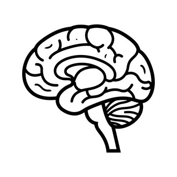 A simple black and white line art illustration of a human brain profile view isolated on a white background for medical or educational concepts