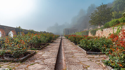 Naklejka premium A stone pathway leads through a foggy garden filled with rose bushes and ancient brick walls.