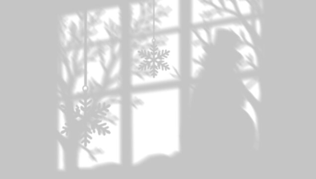 Christmas Botanical Window Shadow Overlay with Pine Branches, Hanging Ornaments and Natural Winter Sunlight