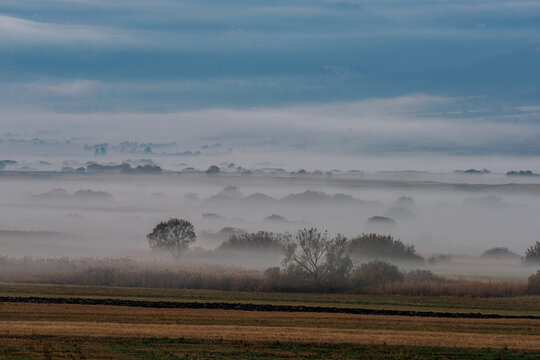 Misty Landscape at Dawn with Fog Covered Fields and Trees.Misty landscape at dawn with layers of fog drifting across harvested fields, scattered trees and distant hills beneath a cloudy blue sky.