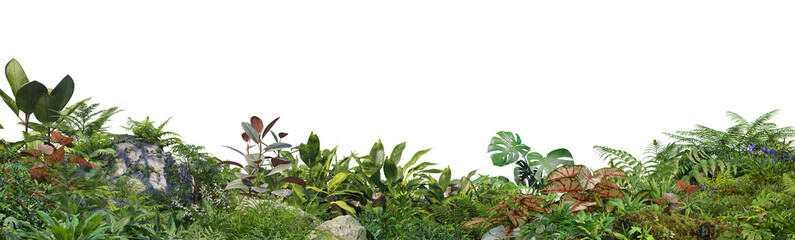Naklejka premium foreground Tropical Plant Green Leaf on transparent background