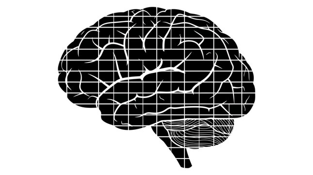 A black and white silhouette graphic of a human brain featuring a grid overlay pattern representing analytical thinking intelligence neuroscience and complex cognitive data processing