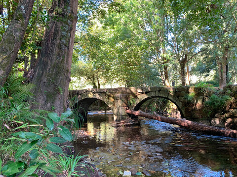 Old stone bridge with two arches over a forest stream with a fallen log