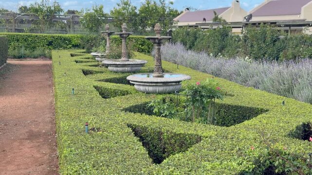 Formal garden view along a gravel path, showing a row of three stone fountain basins on carved pedestals set within geometric boxwood hedge beds.