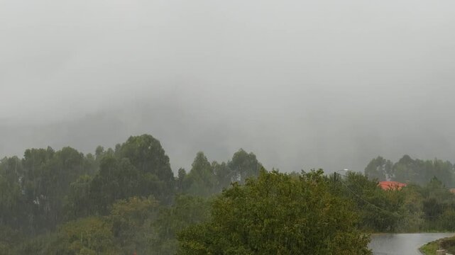 A strong rainstorm pours heavy water drops over green treetops in a rural village under an overcast sky.