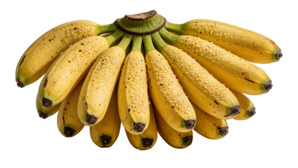 Bunch of ripe yellow bananas with water droplets, isolated on transparent background © Iura