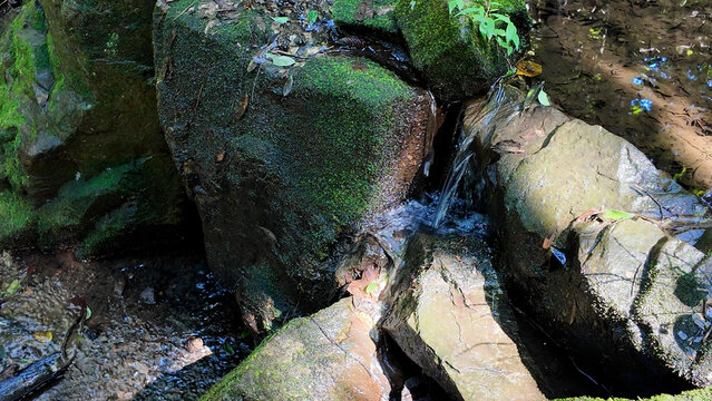 四季の森公園・不動の滝下で苔むした岩の隙間を流れる清流 - 横浜市緑区, 神奈川県, 日本