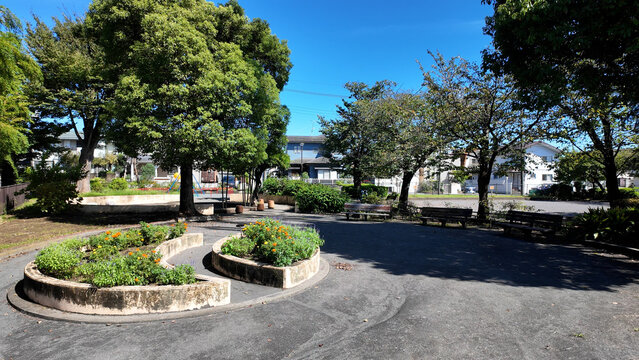 青空と大きな木々に囲まれた東本郷第一公園の花壇と広場の風景 - 横浜市緑区, 神奈川県, 日本