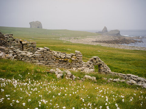 Foula, Shetland, Scotland, United Kingdom, 5th July 2026, view of the sea and cliffs looking towards Gaada natural arch in the distance and an old croft 