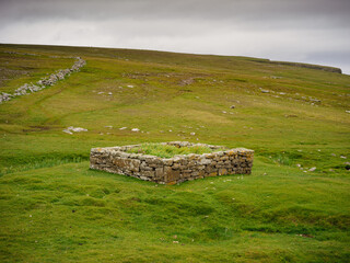 Foula, Shetland, Scotland, United Kingdom, 5th July 2026, plantiecrubs for protecting and growing crops © Electric Egg Ltd.