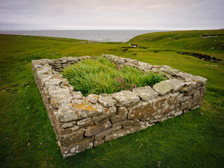 Foula, Shetland, Scotland, United Kingdom, 5th July 2026, plantiecrubs for protecting and growing crops © Electric Egg Ltd.