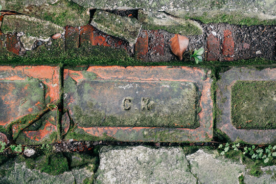 Old red bricks and gray stone blocks form a rough path with patches of green moss, tiny plants and a fallen leaf.