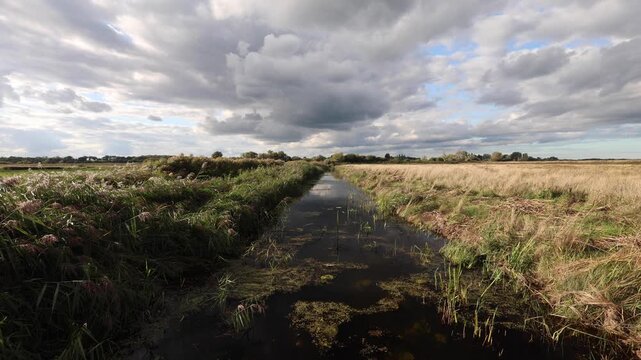 dyke running through the marshes in suffolk