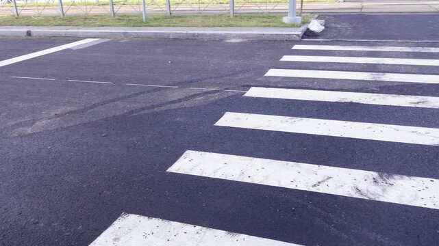Two parallel white rectangular stripes form part of a pedestrian crosswalk on dark asphalt