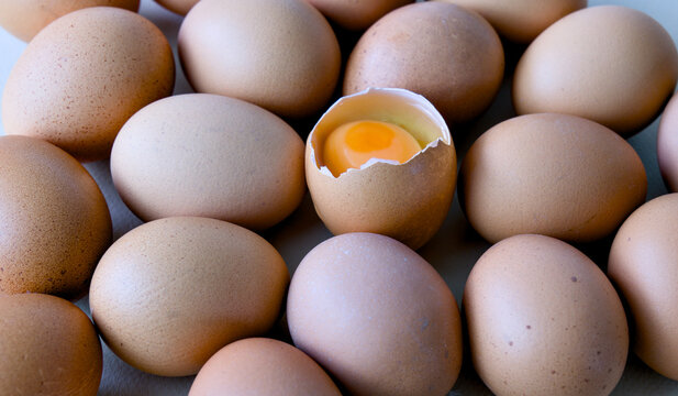 Raw brown eggs pattern on surface with open cracked egg exposing fresh yolk.