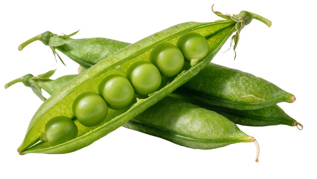 Fresh green pea pods with visible round peas, isolated on transparent background