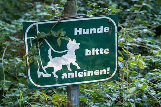Sign asking to keep dogs on a leash in a green area