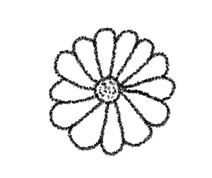 Simple line drawing of a white daisy flower with detailed petals and center