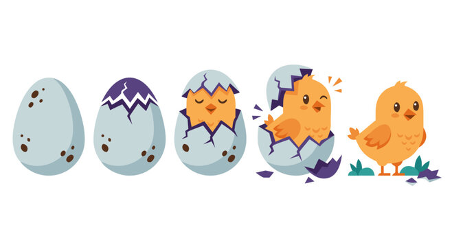 A sequence of a chick hatching from a speckled egg