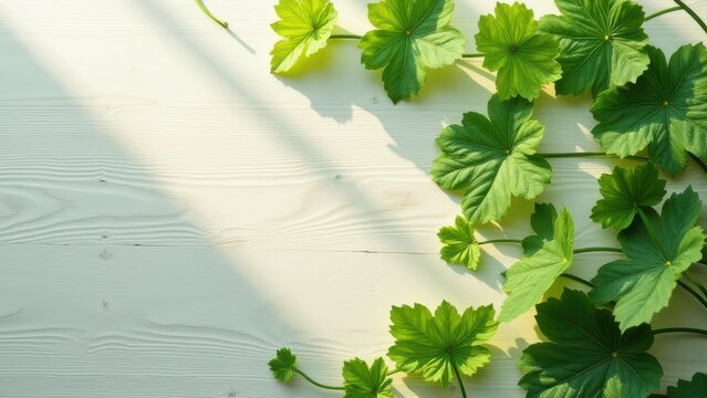 flat lay arrangement of fresh vibrant green ivy leaves on light natural wood for wellness and nature commercial backdrop