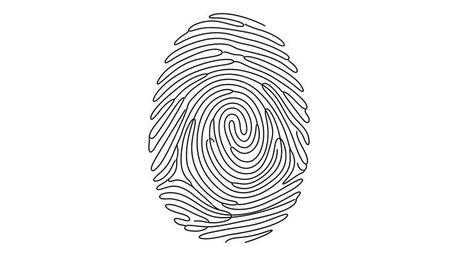 Human fingerprint biometric pattern security identification print