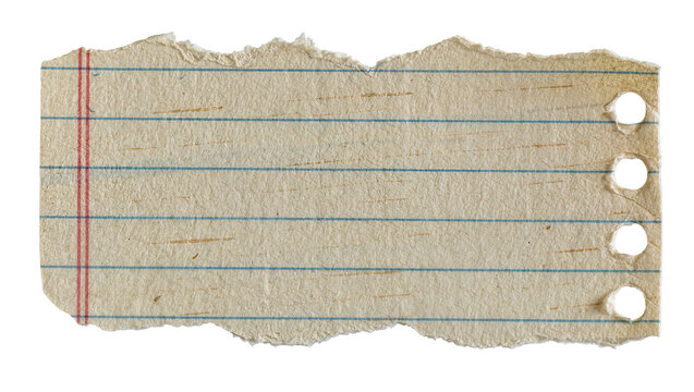 Torn lined notebook paper with red margin and punched holes, isolated on transparent background