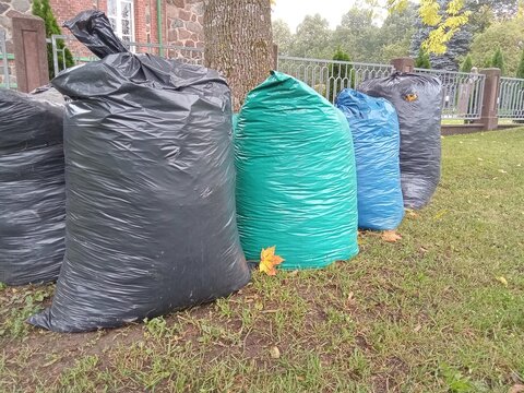Multiple Plastic Garbage Bags Lined Up on Grass for Waste Collection.

