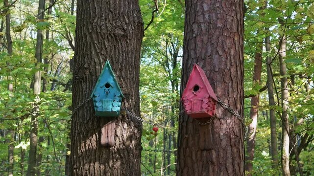 Blue and pink handmade birdhouses attached to tree trunks with chains in an autumn forest.