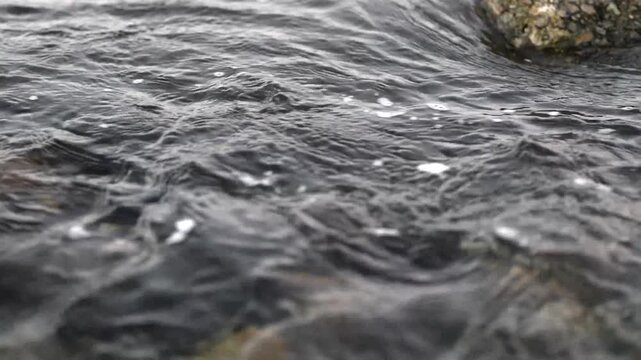 川石の周りを流れる水と小さな泡、穏やかな渓流の動画