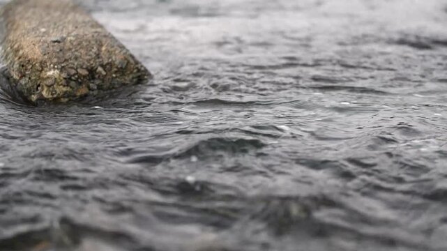 川石の周りを流れる水と小さな泡、穏やかな渓流の動画