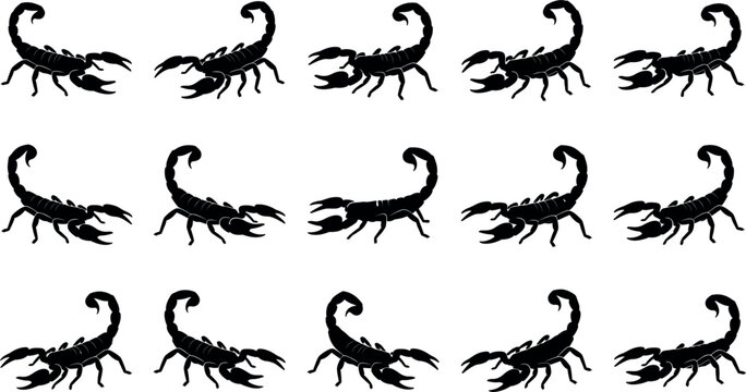 Scorpion silhouette set collection featuring various stinging positions of poisonous desert arachnids isolated on a clean white background vector graphic design