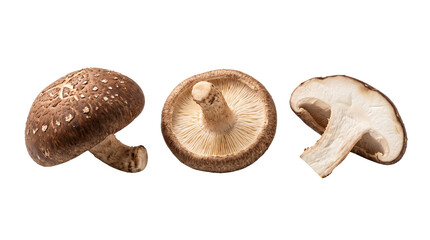 Fresh organic shiitake mushroom set, raw edible fungi ingredients for healthy cooking, whole and sliced brown mushrooms isolated PNG with Transparent Background © FacelessFame