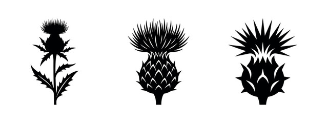 Naklejka premium Three Black Thistle Icons