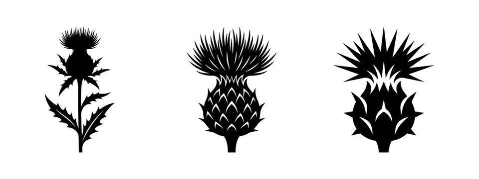 Three Black Thistle Icons