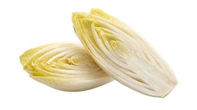 Sliced belgian endive heads on a transparent background