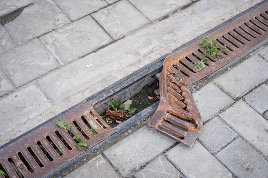 Bent rusty storm drain grate with weeds on sidewalk
