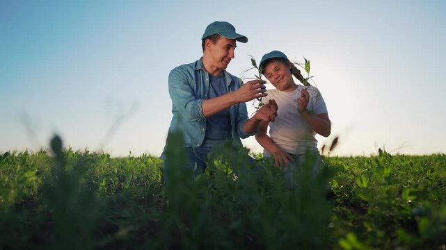 Two people in field holding plant. Man examining a field of plants with his child. A farmer is teaching his students how to grow crops outdoors. Two individuals in a field grasping a plant lifestyle.