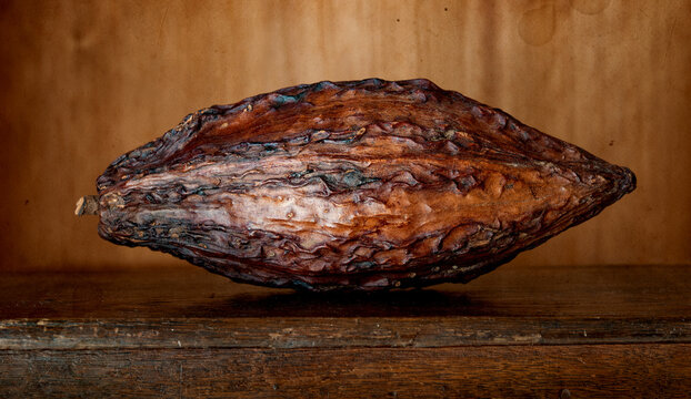Large cacao pod with cacao beans resting on a textured old wooden board, photographed in a rustic vintage style. Natural cocoa fruit, traditional harvest and tropical food.