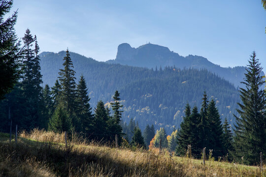 mountain landscape with trees, Ceahlau Mountains, Romania 