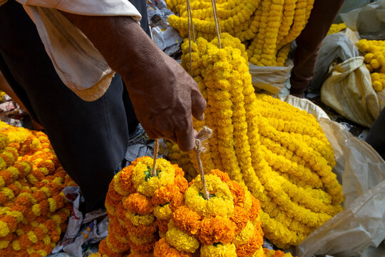 Hands holding strands of yellow and orange marigold garlands at the flower market, West Bengal, Kolkata, India