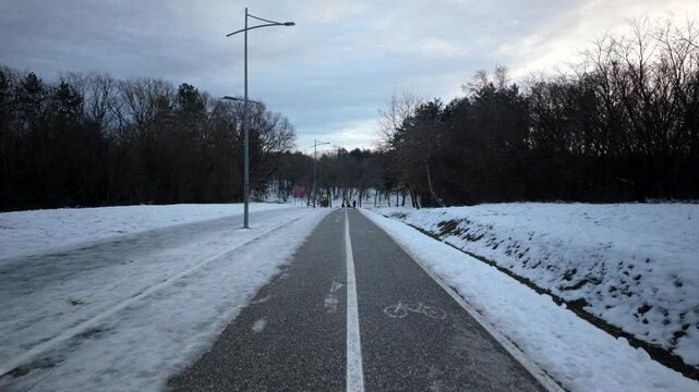 Snowy Bicycle Path Through Quiet Winter Forest